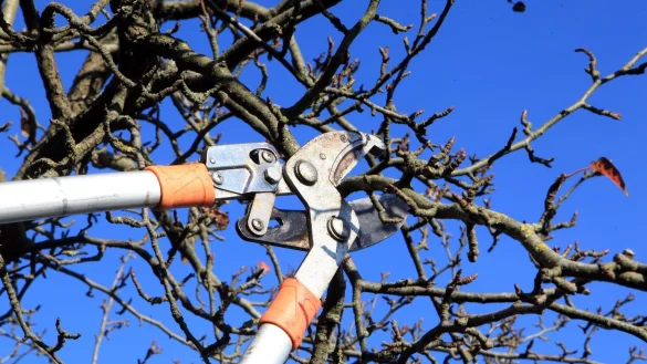 Fristen beachten - &copy; Foto: Nestor Bachmann/dpa-tmn/dpa