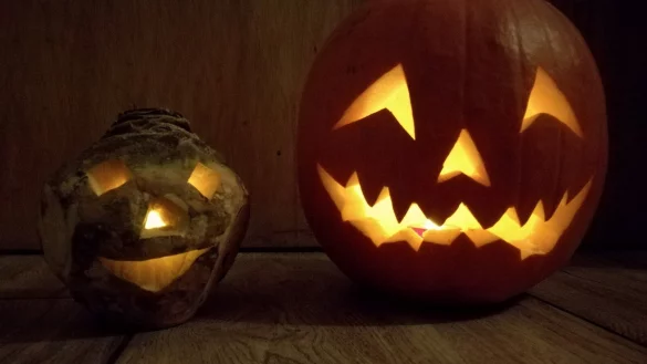Heute pr&auml;gen Halloweenk&uuml;rbisse die Region zu Beginn der dunklen Jahreszeit. Fr&uuml;her schnitzte man aber R&uuml;ben in den Tagen vorm Martinssingen zu. - &copy; Mark-Andr&eacute; Strunk