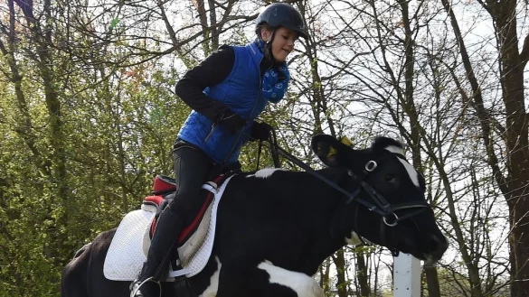 Hanna Steinker (13) springt auf einer Wiese in Ellenserdammersiel mit ihrer Kuh Luna &uuml;ber ein Hindernis. - &copy; dpa