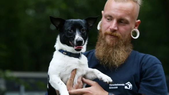 Jetzt wieder gut gelaunt: Der Jack-Russel-R&uuml;de "Fritz" mit Sven Kirchhoff vom Tierheim G&uuml;tersloh. Die Tierfreunde vermuten, dass der Hund so angebunden wurde, dass er gefunden werden musste. - &copy; Patrick Menzel
