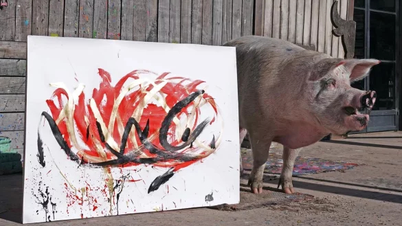 Kunst von Pigcasso - &copy; Foto: Kristin Palitza/dpa