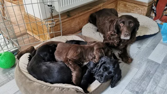 - &copy; Sussex Police/dpa