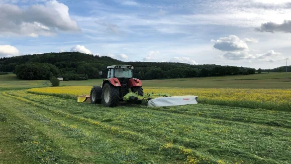 - © Kathrin Zeilmann/dpa