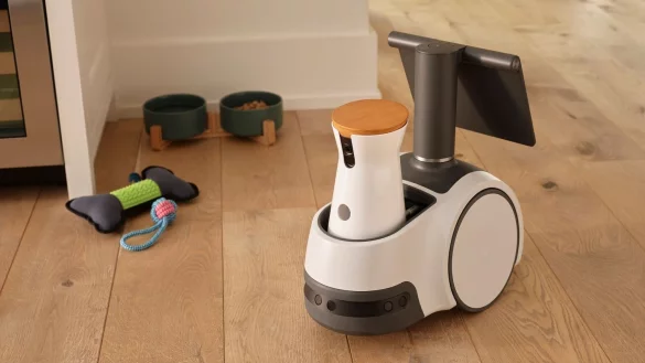 Astro - &copy; Foto: Collin Hughes/Amazon via AP/dpa