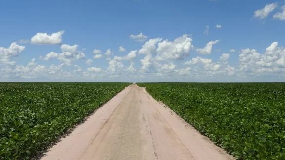 Soja-Anbau in Brasilien - &copy; Foto: Global Land Analysis and Discovery (GLAD) lab, University of Maryland/dpa