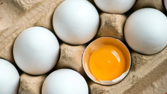 Eier - &copy; Foto: Armin Weigel/dpa