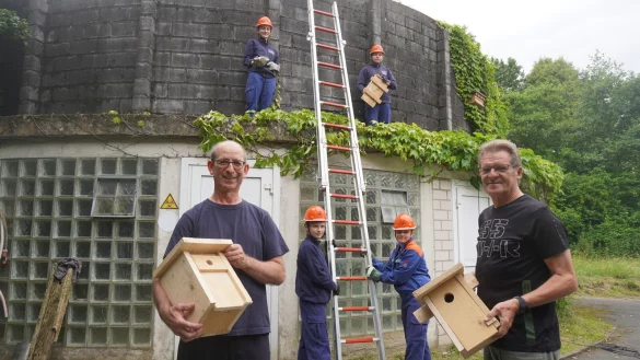Jugendfeuerwehrwart R&uuml;diger Thalke (links) und der angehende Naturbotschafter Albert Holtkamp h&auml;ngen mit den Mitgliedern der Jugendfeuerwehr Nistk&auml;sten an dem Mauerwerk der ehemaligen Kl&auml;ranlage auf. Mit dabei sind Bennet (12, unten von links) und Tyler (12) sowie Isabell (17) und Oliver (14). - &copy; Michaela Wei&szlig;e(LZ)