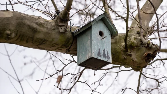 Nistk&auml;sten f&uuml;r Meisen - &copy; Foto: Peter Zschunke/dpa-Zentralbild/dpa