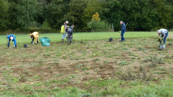 Die Mitglieder der NABU-Gruppe bei einem Arbeitseinsatz am Freesenberg, einer Ausgleichsfl&auml;che der Gemeinde Leopoldsh&ouml;he. - &copy; NABU Leopoldsh&ouml;he