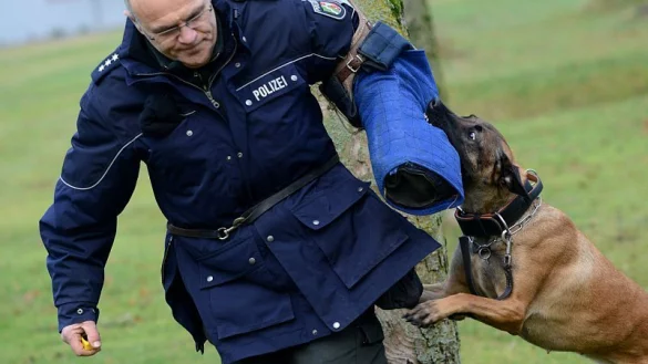 Polizeih&uuml;ndin Tevje &uuml;bt mit ihrem Hundef&uuml;hrer Joachim B&uuml;hrmann&nbsp; in Schloss Holte-Stukenbrock auf einer Wiese. - &copy; dpa