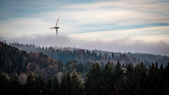 Sieben Windkraftanlagen sollen im Waldgebiet in der N&auml;he der Gausek&ouml;te entstehen. - &copy; Symbolbild: Pixabay