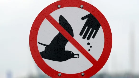 Nicht f&uuml;ttern - &copy; Foto: Carsten Rehder/dpa