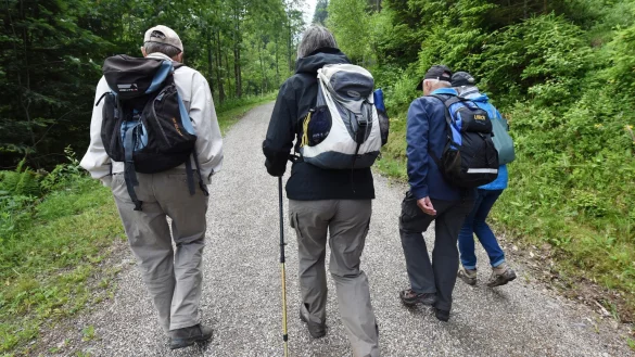 Wanderer - &copy; Foto: Patrick Seeger/dpa