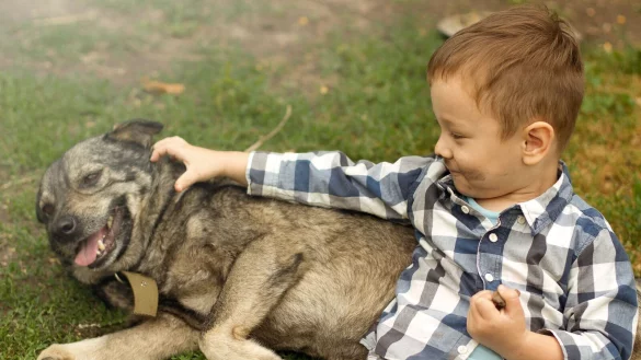 Auch das friedlichste Haustier kann sich erschrecken oder sich bedroht f&uuml;hlen und dann pl&ouml;tzlich zubei&szlig;en. Die AOK NordWest r&auml;t, Bissverletzungen unbedingt medizinisch versorgen zu lassen. - &copy; AOK/hfr