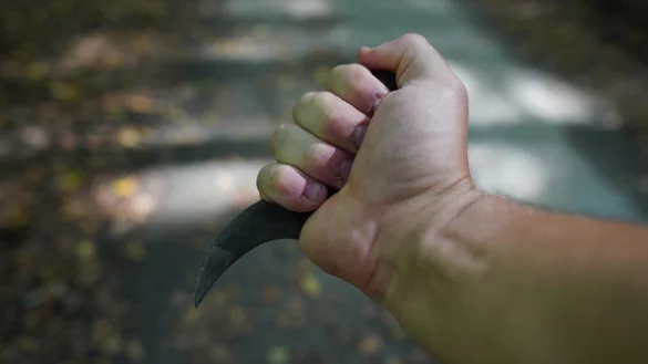 Ein Mann muss sich nun vor Gericht verantworten, weil er unter anderem einen Hundehalter mit einem Messer schwer verletzt haben soll. - &copy; Pixabay/Symbolbild