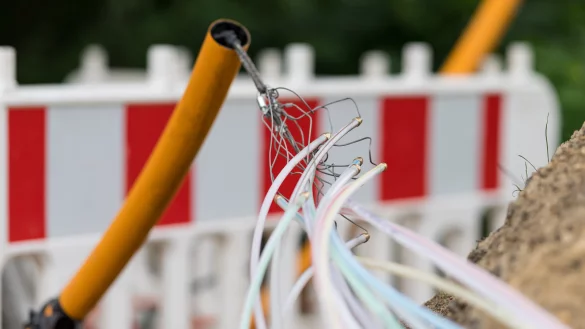 Glasfaseradern bringen schnelles Internet meist bis in graue K&auml;sten am Stra&szlig;enrand. Wie es von dort in die H&auml;user kommt, ist unterschiedlich. - &copy; Guido Kirchner/dpa