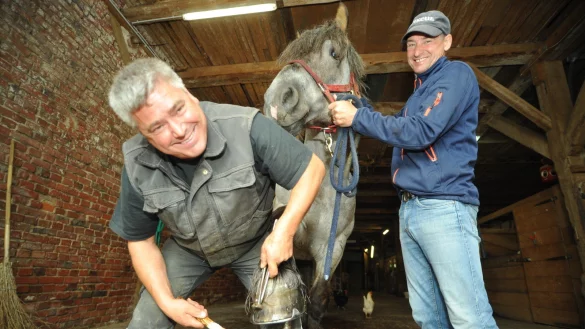 Ein Eisen f&uuml;r Hengst "Elias": Hufschmied Ulirch Gerusel (links) bei der Arbeit. Mario Dwars, der die Pferde bei Fahrtunieren vorstellt, h&auml;lt die Z&uuml;gel. &nbsp; - &copy; Nicole Ellerbrake