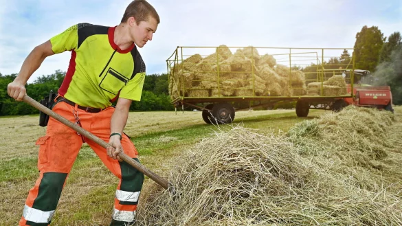 Maximilian K&ouml;hn schiebt die Haufen sauber zu einer langen Reihe zusammen, damit die Presse (hinten) sie gut anfahren und zu Ballen pressen kann. - &copy; Barbara Franke