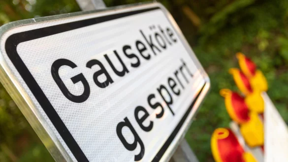 - &copy; Archivfoto: Jannik Stodiek