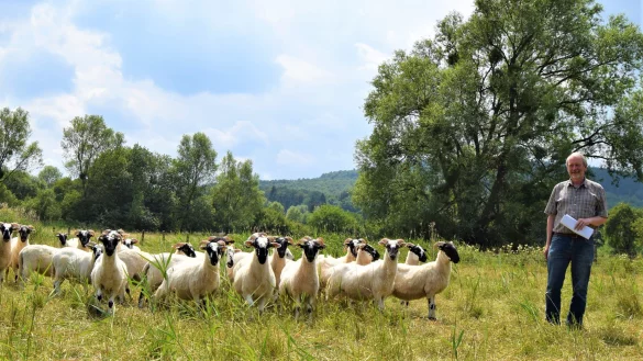 Sie sorgen gemeinsam f&uuml;r Naturschutz: Bernd M&uuml;hlenmeier l&auml;sst seine Schafe regelm&auml;&szlig;ig St&uuml;ck f&uuml;r St&uuml;ck die Rischwiese beweiden, die viele seltene Tier- und Pflanzenarten beherbergt. - &copy; Greta Wiedemeier