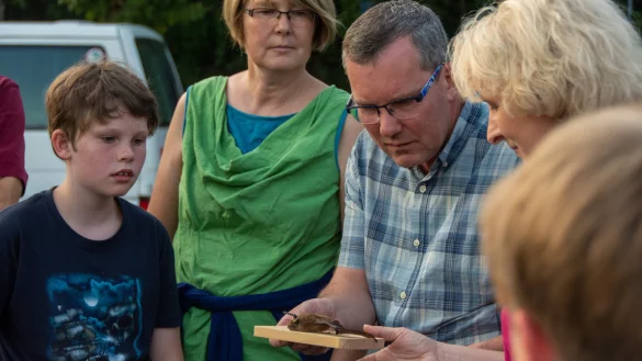 Pr&uuml;fender Blick: (von links) die Exkursionsteilnehmer Mattes, Mareile und Matthias Niederkr&uuml;ger sowie Ute M&uuml;ller begutachten ein Abendsegler-Pr&auml;parat. - &copy; Raphael Bartling