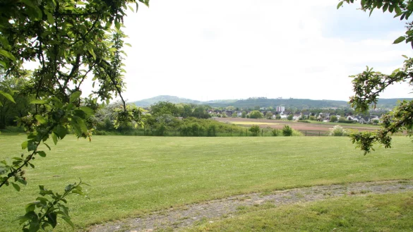 Auf einer der nach Osten gerichteten Wiesen auf dem Friedhof Kreuzenstein k&ouml;nnen k&uuml;nftig muslimische Gr&auml;ber angelegt werden. - &copy; Cordula Gr&ouml;ne
