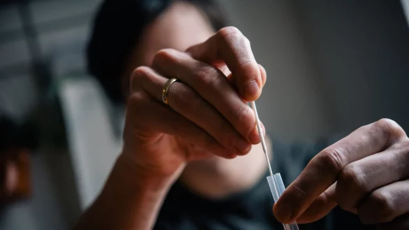 - &copy; Zacharie Scheurer/dpa-tmn