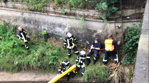 Einsatzkr&auml;fte der Salzufler Wehr setzen zwei &Ouml;lsperren. - &copy; Feuerwehr Bad Salzuflen
