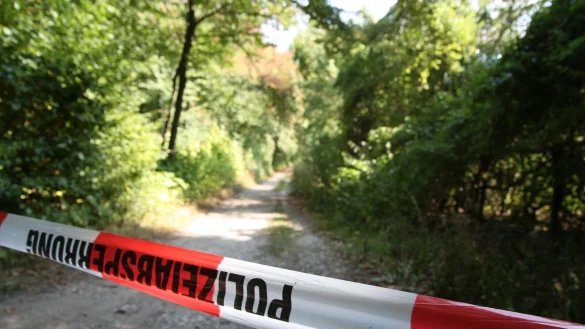 Das Täterduo saß ursprünglich im Wald auf einer Parkbank. Als Vater und Kind auftauchten, zückte einer sein Messer. - © Symbolfoto: Andreas Frücht