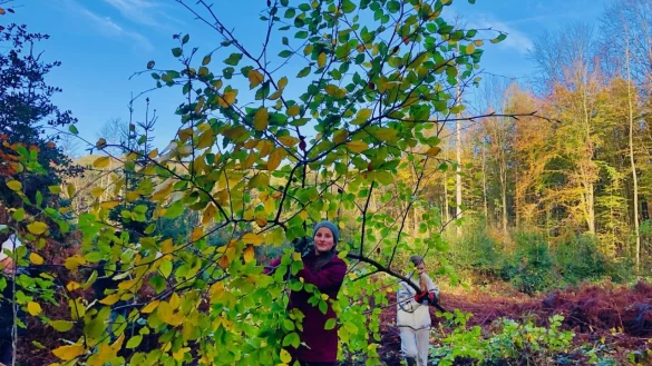 Die Achtkl&auml;ssler des Rudolph-Brandes-Gymnasiumpacken packen ordentlich an. Der Wald wird f&uuml;r eine Pflanzaktion vorbereitet. - &copy; Rudolph-Brandes-Gymnasium