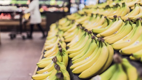 Bielefeld ist f&uuml;r Liefer-Start-Ups interessant. - &copy; Pixabay