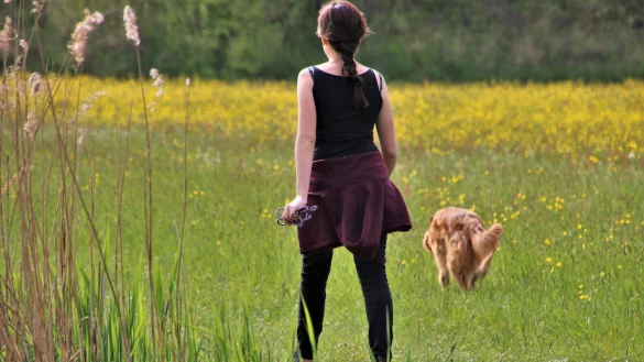 Im Rahmen einer Taschengeldb&ouml;rse unterst&uuml;tzen Jugendliche Senioren bei kleineren Arbeiten im Alltag. Dazu z&auml;hlen beispielsweise Spazierg&auml;nge mit dem Hund oder Gartenarbeiten. - &copy; Symbolbild: Pixabay