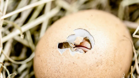 - &copy; Symbolbild: Pixabay