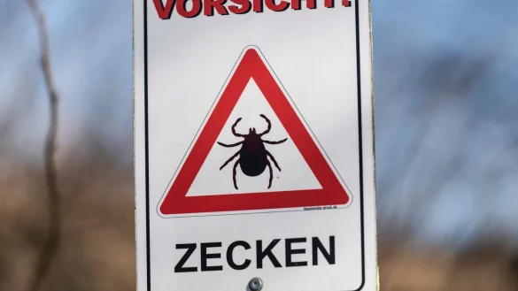 Zecken-Saison beginnt fr&uuml;her - &copy; Foto: Patrick Seeger/dpa