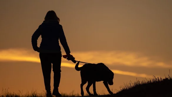 Frauchen mit Hund - &copy; Foto: Sebastian Gollnow/dpa