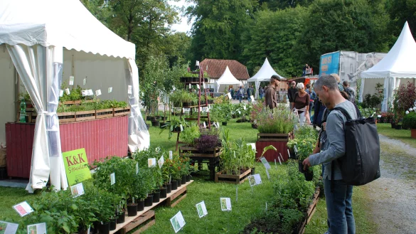 Freilichtgenuss - © Niemann