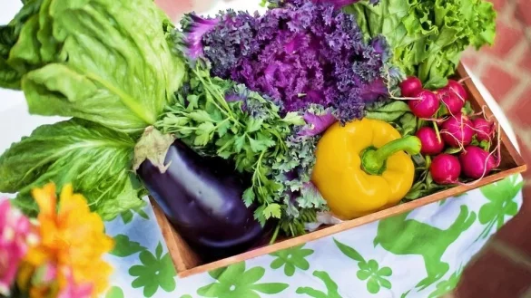 Symbolbild - &copy; Pixabay