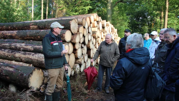 Sorge um den Wald: F&ouml;rster Friedrich Meiercord zeigt bei einem Rundgang, wie es um den heimischen Forst bestellt ist. - &copy; Katrin Kantelberg
