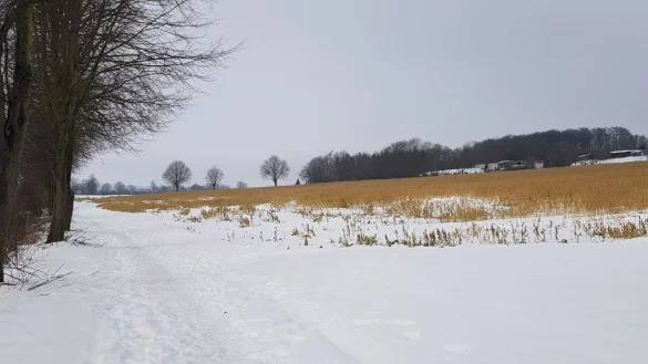 Auch am Bahndamm waren Tierkardaver aufgefunden worden. Alle wurden vom Ordnungsamt der Stadt fachgerecht entsorgt. - &copy; J&ouml;rg Wegge
