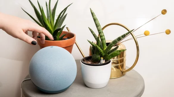 Alexas erster gemischter Sprachmodus - &copy; Foto: Zacharie Scheurer/dpa-tmn