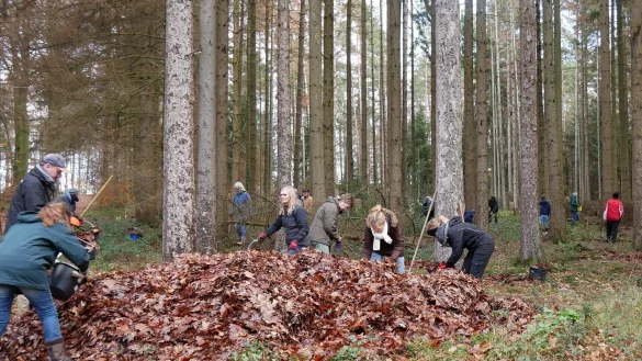 Auch beim Umwelttag brachten sich viele Freiwillige f&uuml;r den Lemgoer Stadtwald ein. - &copy; Stadt Lemgo