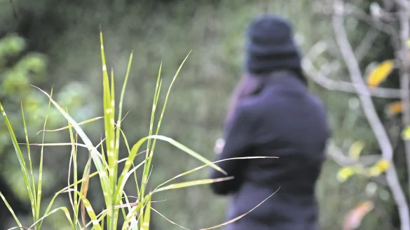 Wurde zur Prostitution gezwungen: Die Bulgarin Mariella. Heute lebt sie in Bielefeld. Anschaffen geht sie nicht mehr. - &copy; Sarah Jonek