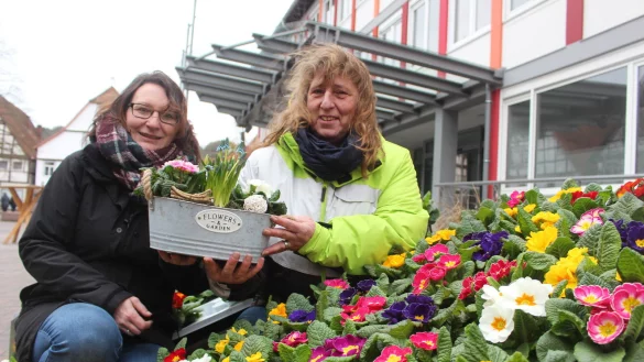 Mit bunter Blumenpracht gegen das triste Grau. - &copy; Michaela Wei&szlig;e