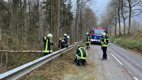 Der Löschzug Bösingfeld sorgt auch beim Sturm für Sicherheit und räumt Bäume von der Straße. - © Löschzug Bösingfeld