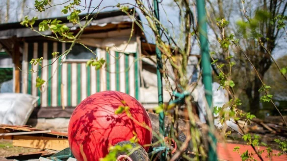 Der Fall L&uuml;gde hat f&uuml;r Entsetzen gesorgt. - &copy; Picture Alliance