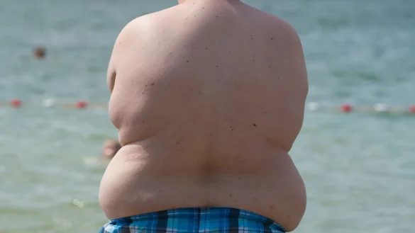 Kampf gegen Fettleibigkeit - &copy; Foto: Sebastian Kahnert/dpa-Zentralbild/dpa