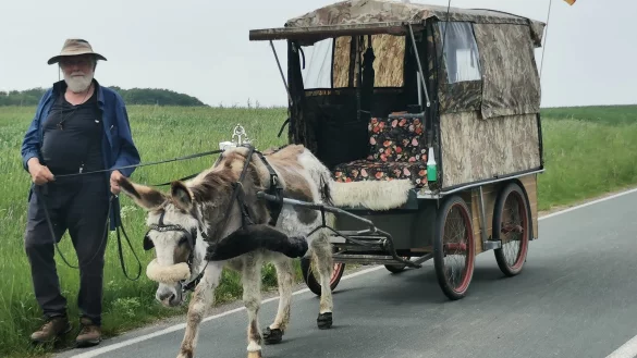 Der Holl&auml;nder Erik van Bronswijk ist mit Eselin "Sientje" rund 600 Kilometer unterwegs von Nijmegen nach Wittenberg. Kurz vor Alverdissen macht er Station. - &copy; Sylvia Frevert