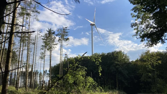 Dieses Windrad steht bereits im Stadtwald. - © Archivfoto: Cordula Gröne