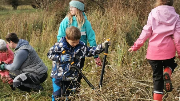 Kilian (Mitte mit Astschere) und die anderen Kinder der Naturerlebnis AG des NABU D&ouml;rentrup und des Heimatvereins Barntrup haben Spa&szlig; beim Kopfweiden-Schneiden in Humfeld. - &copy; Sylvia Frevert