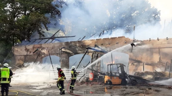 Ein Raub der Flammen: Von der ehemaligen Scheune stehen nur noch die Grundmauern. - &copy; Jobst L&uuml;deking